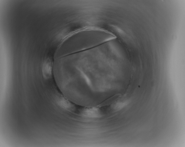 X0000113860576200909241310