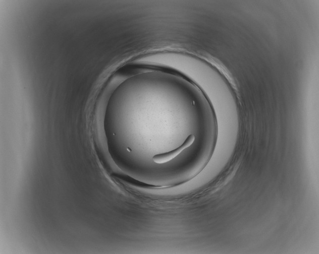 X0000113860577200909241309