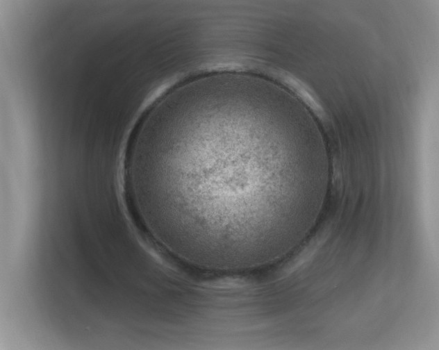 X0000113860578200909241309