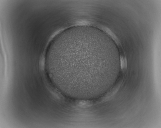 X0000113860579200909241309
