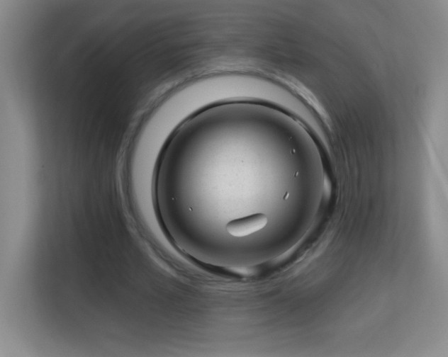 X0000113860581200909241309