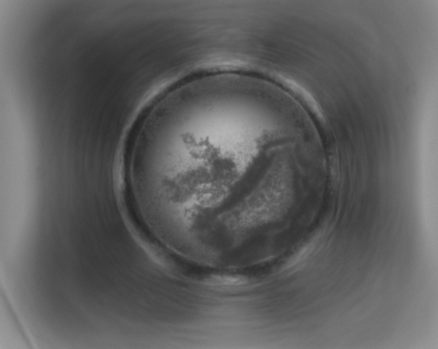 X0000113860582200909241309