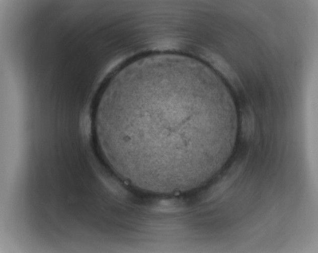 X0000113860584200909241309