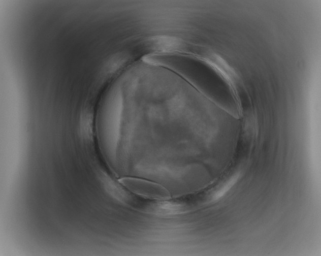 X0000113860585200909241309