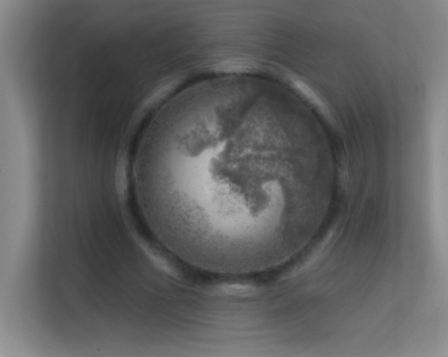 X0000113860586200909241309