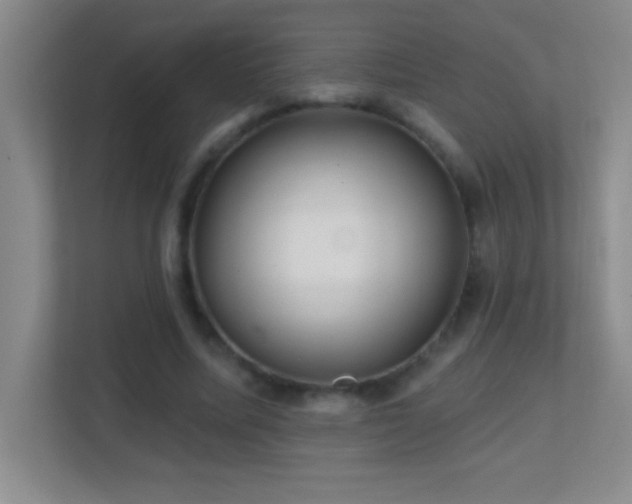 X0000113860587200909241309