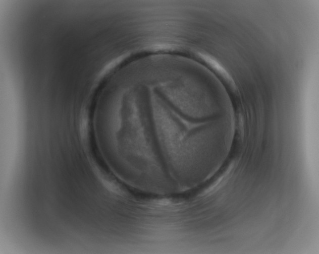 X0000113860588200909241309