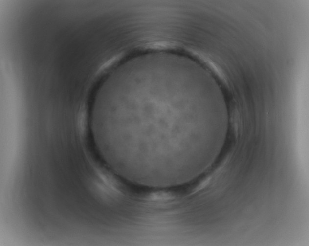 X0000113860591200909241309