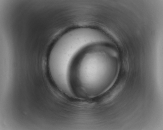 X0000113860592200909241309