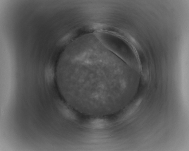 X0000113860593200909241309