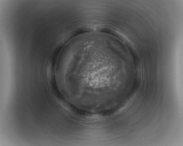 X0000113860594200909241309