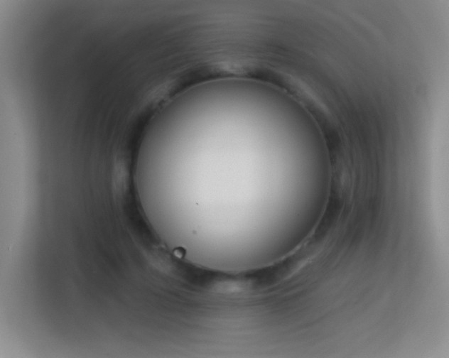 X0000113860595200909241309