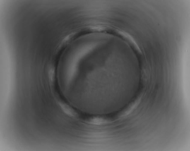 X0000113860596200909241309