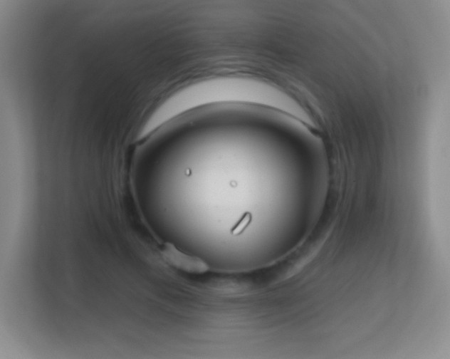 X0000113860597200909241309