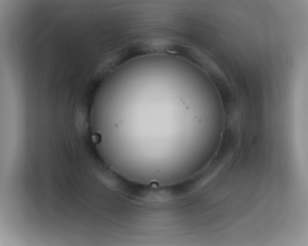 X0000113860599200909241309