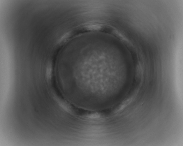 X0000113860600200909241309