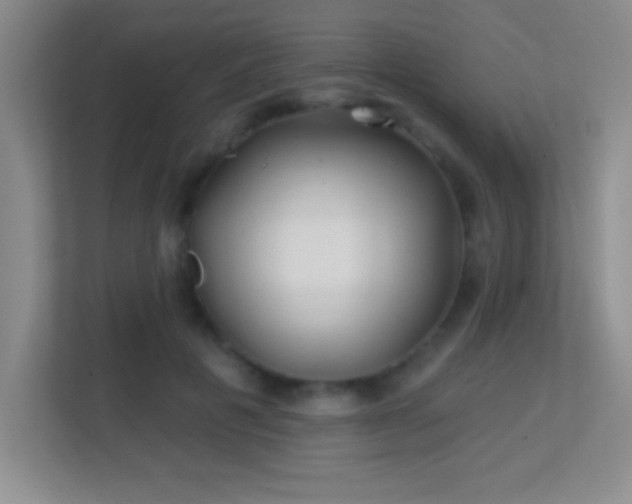 X0000113860601200909241309