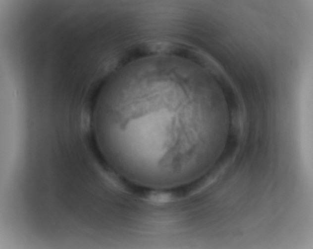 X0000113860602200909241309