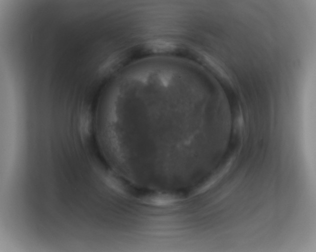 X0000113860604200909241309