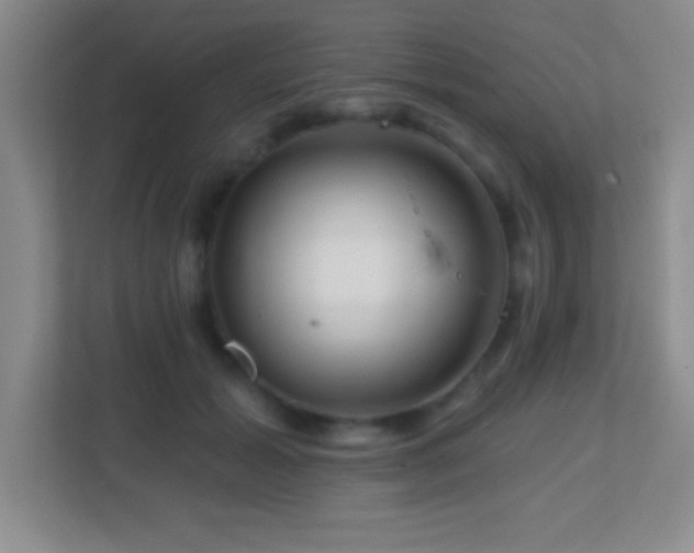 X0000113860605200909241309