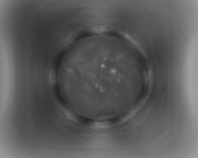 X0000113860606200909241309