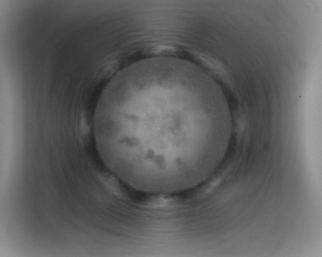X0000113860607200909241309