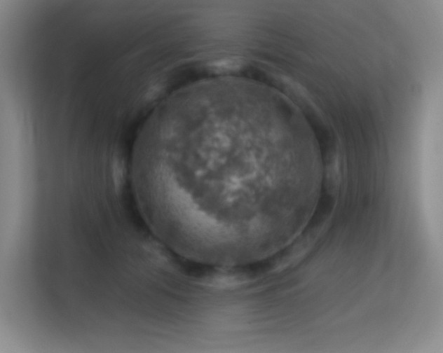 X0000113860608200909241309