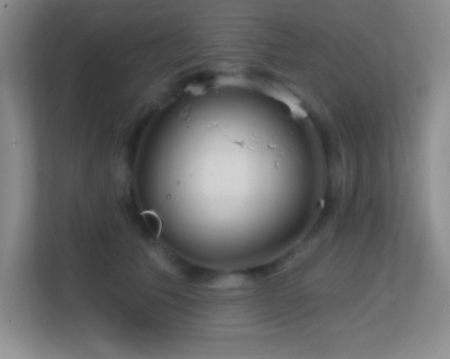 X0000113860609200909241309