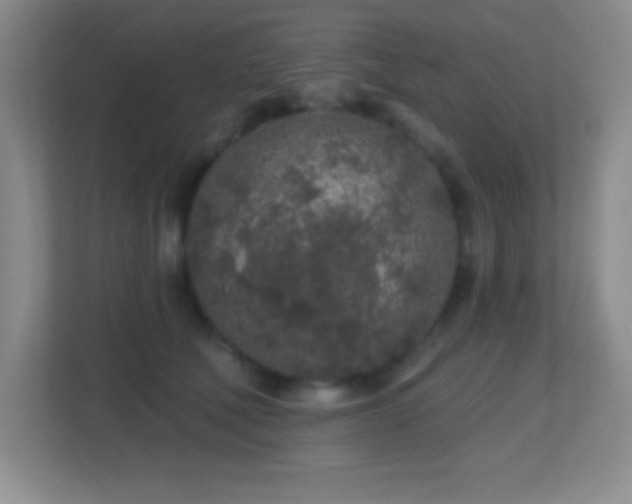 X0000113860610200909241309