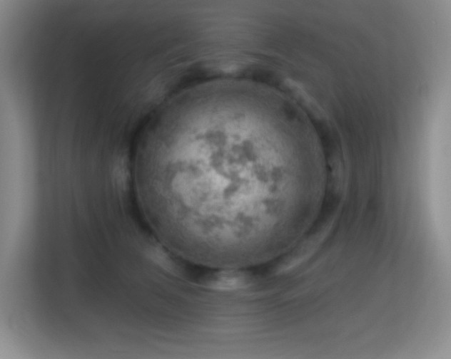 X0000113860612200909241309