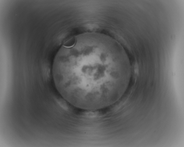 X0000113860615200909241309