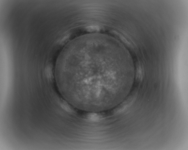 X0000113860616200909241309