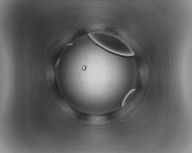 X0000113860617200909241309