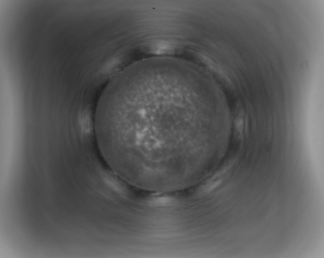 X0000113860620200909241309