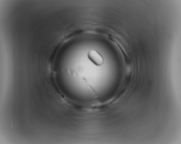 X0000113860621200909241309