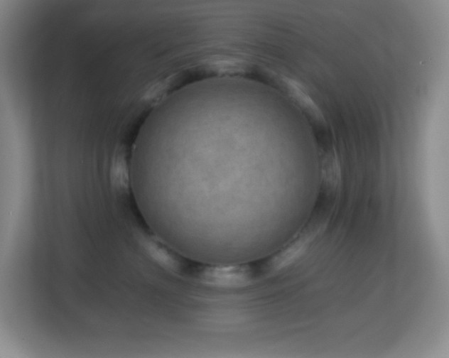 X0000113860622200909241309