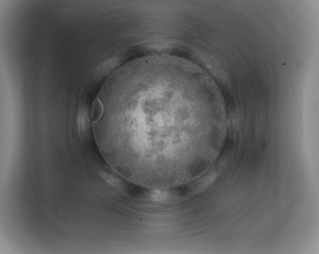 X0000113860623200909241309