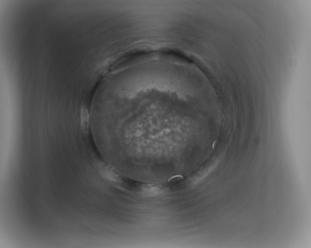 X0000113860624200909241309
