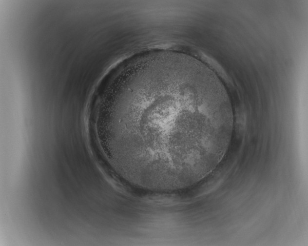 X0000113860626200909241308