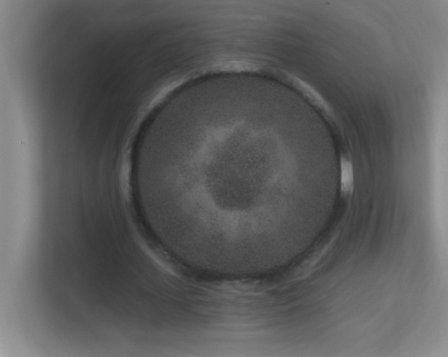X0000113860627200909241308