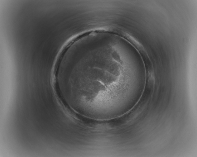 X0000113860628200909241308
