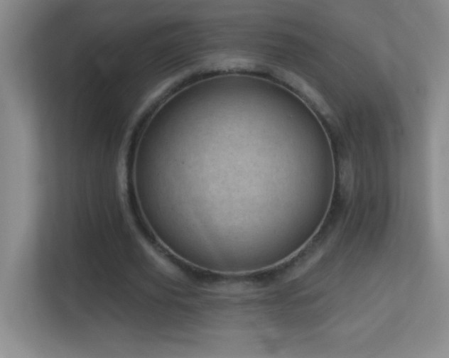 X0000113860629200909241308
