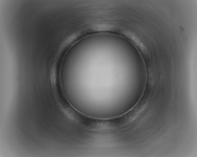 X0000113860631200909241308