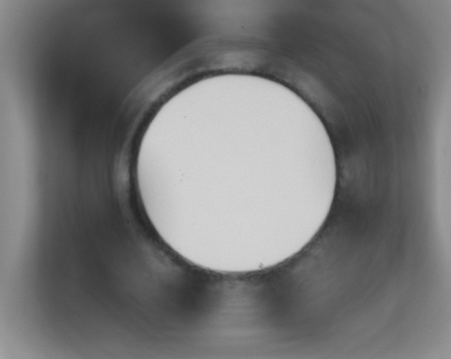 X0000113860632200909241308