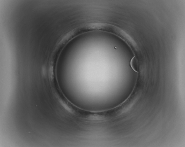 X0000113860633200909241308