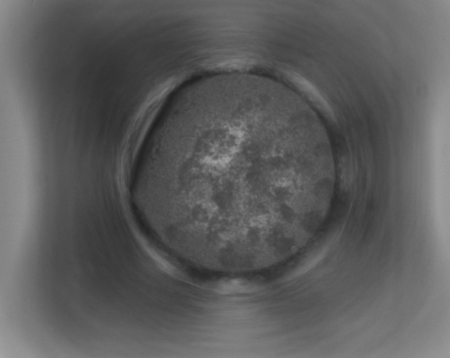 X0000113860634200909241308