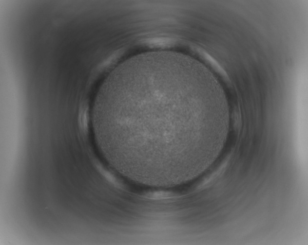 X0000113860637200909241308