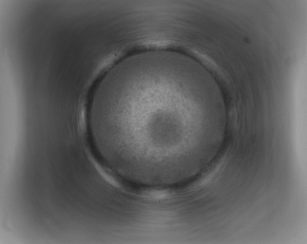 X0000113860638200909241308