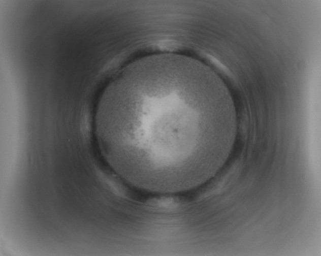 X0000113860639200909241308