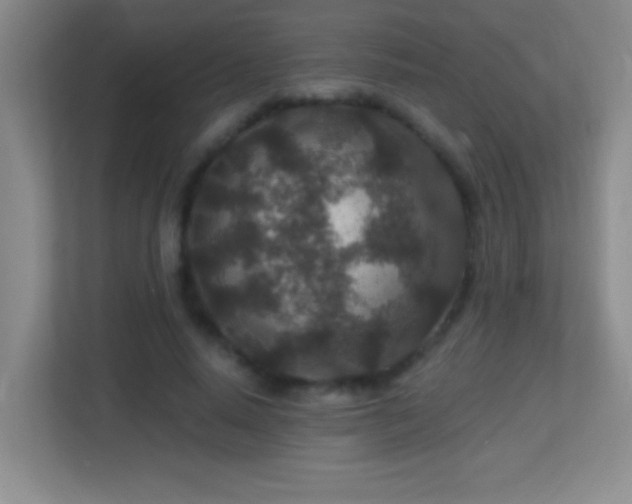 X0000113860640200909241308